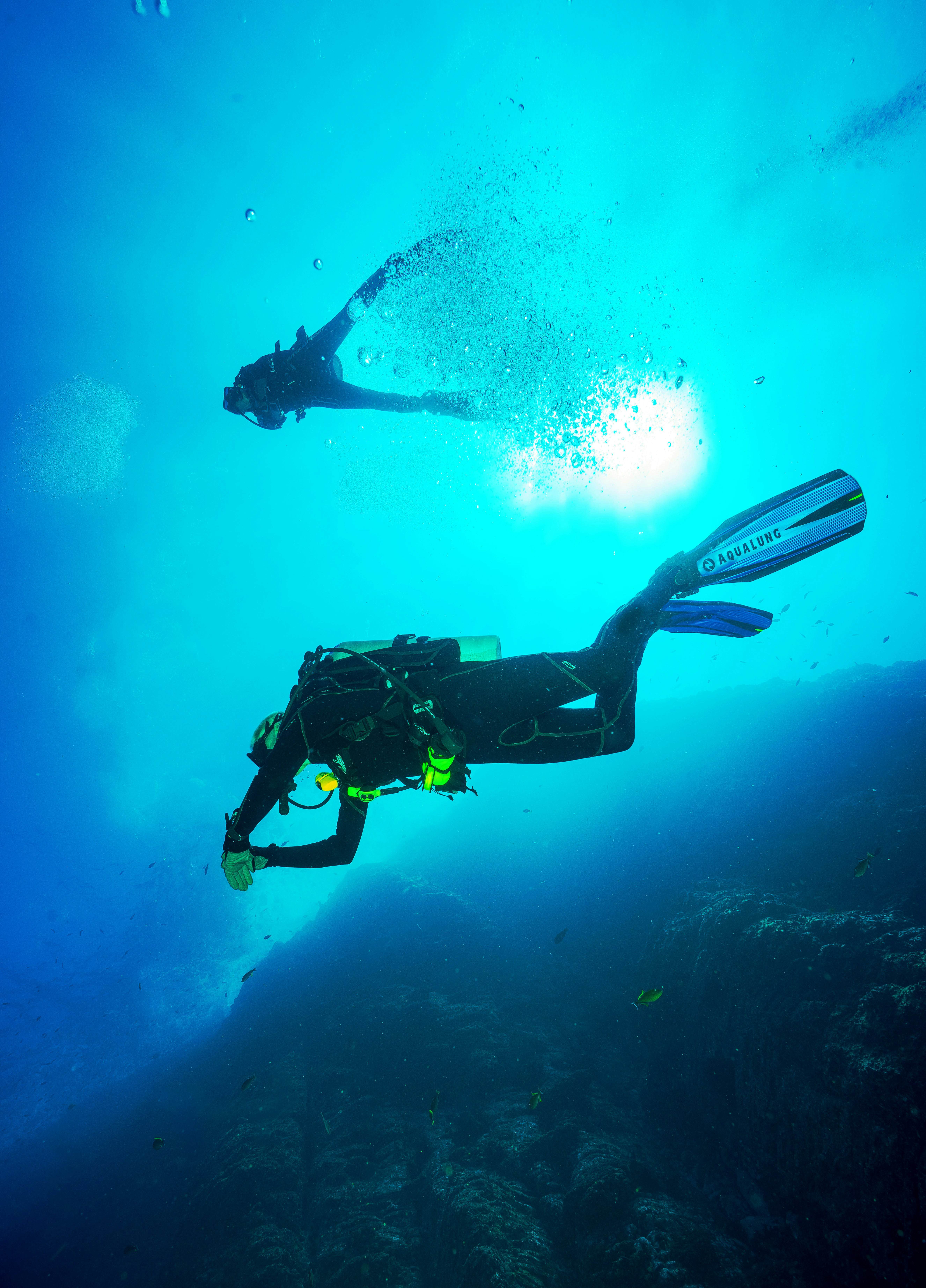 Scuba Diving in Ojochal: Caño Island to Cocos, a Complete Guide
