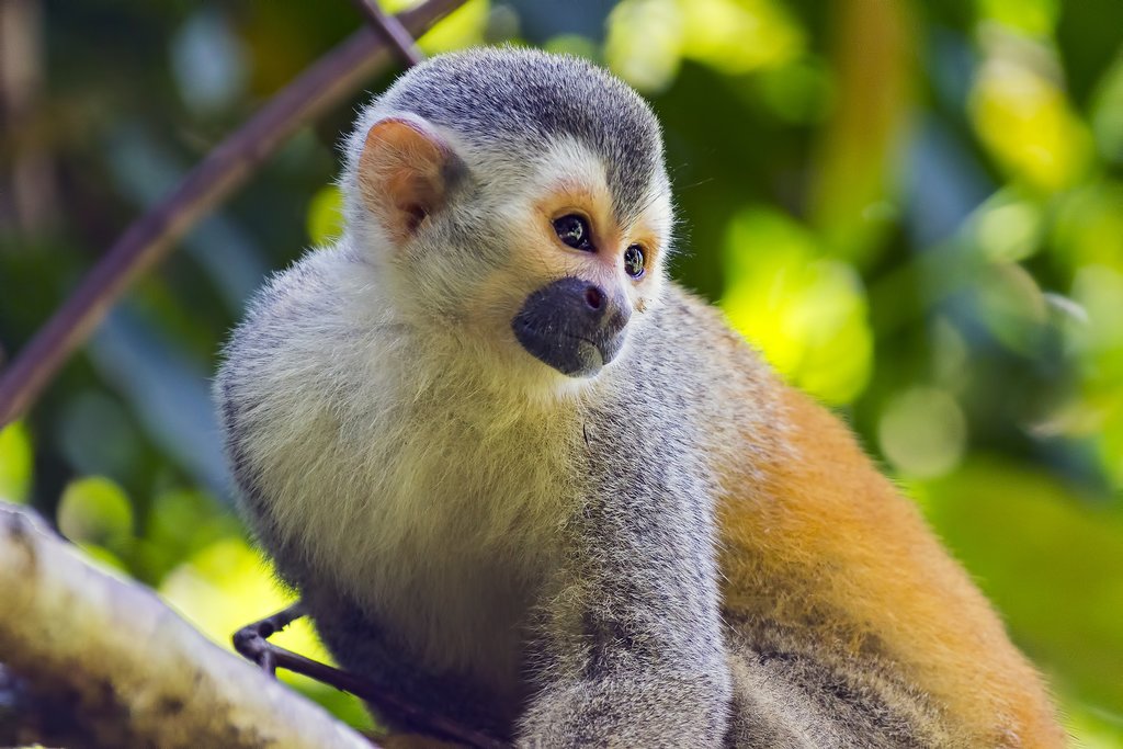 National Parks, Wildlife Sanctuaries & Cultural Attractions Near Vista Bendita